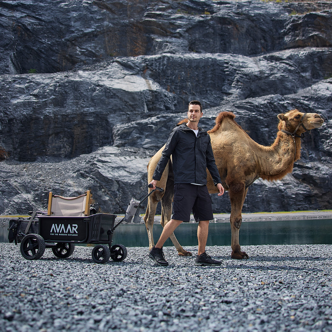 Go monster series  - Avaar utility cart