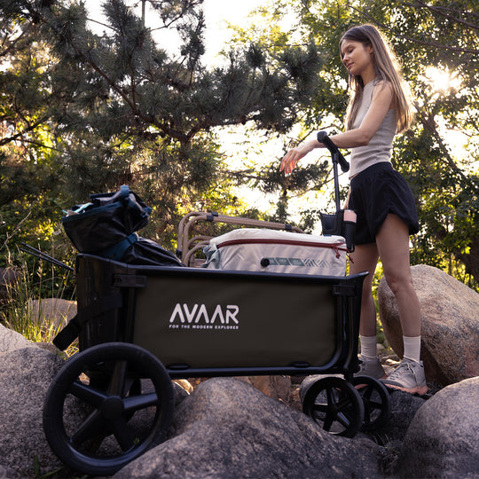 Avaar Go Anywhere Utility Cart - Blue